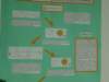 Photo Number 9